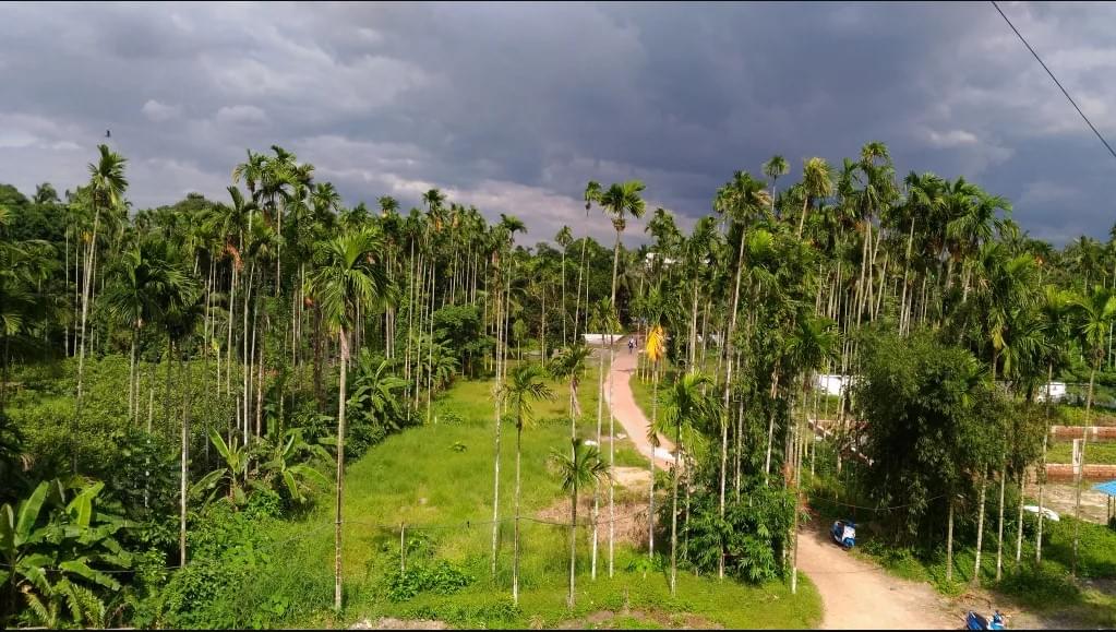 Shree Ramkrishna Institute of Science And Technology Kolkata Campus photo 8